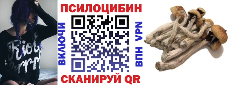 OMG сайт  Очёр  Галлюциногенные грибы Psilocybe 